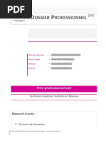 Dossier Professionnel : Guide Complet | PDF