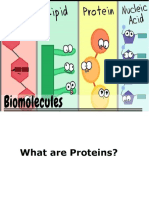 2.2 Proteins