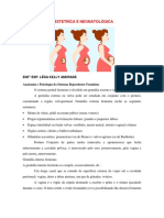 1- Apostila de Obstetrica PDF