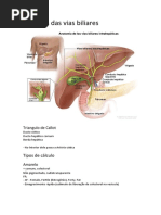 Colangiografia com Dreno de Kehr | PDF | Bile | Fígado