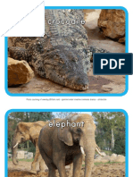 Zoo Animals Flash Cards