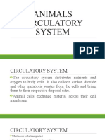 Animals Circulatory System