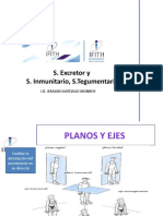 Clase #4 Sistema Reproductor, Sistema Excretor y Sistema Inmunologico