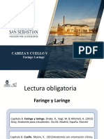 Clase 26 Faringe-Laringe DMOR0003 2023