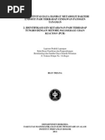 Download Draft Sidang by Rian Triana SN65616001 doc pdf