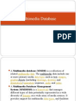 Multimedia Databases