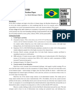 PositionPaper-Brazil Public