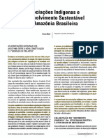 Associacoes Indigenas e Desenvolvimento Sustentavel Na Amazonia Brasileira - Bruce Albert