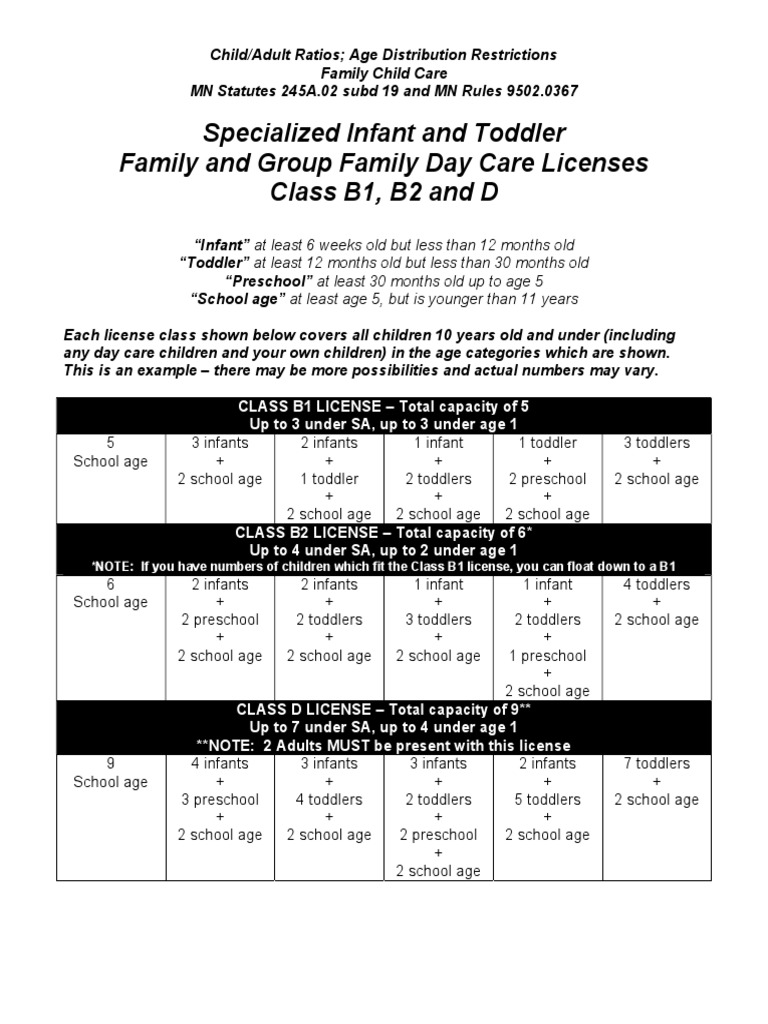 Specialized Infant and Toddler Care Age Ratio Distribution PDF