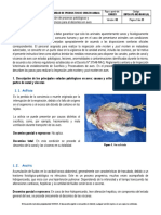 DIPOA PG 003-IN-002 (A) v02.pdf Camal