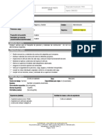 Plantilla Descripcion de Puesto