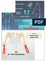 Anatomy Lab 1