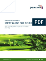 Celery Spray Guide 2023