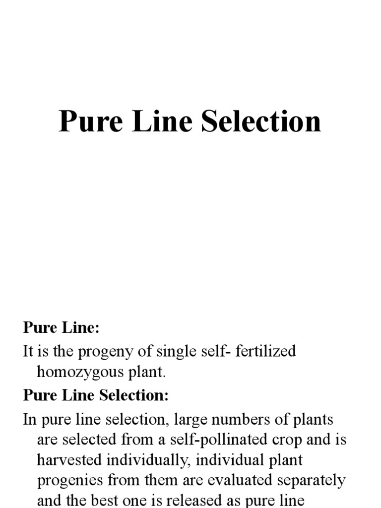 Pure Line Selection PDF Natural Selection Phenotype