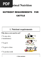 Nutrient Requirements For Cattle