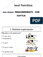 Nutrient Requirements For Cattle