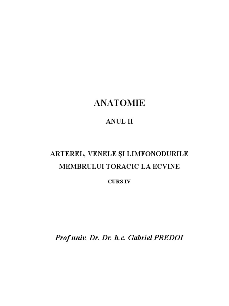 Anato Anul II Curs 4 FMVB | PDF