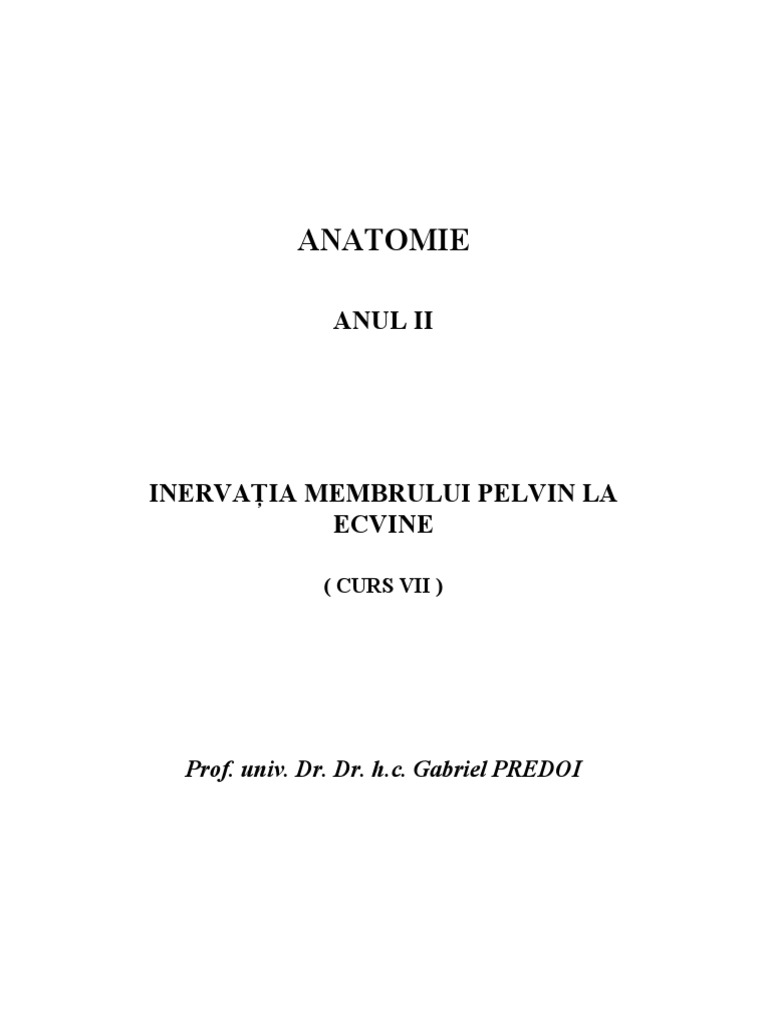 Anato Anul II Curs 7 FMVB | PDF