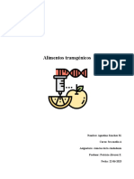 Diabetes Tipo 1 Informe