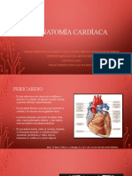 Anatomia Cardiaca. Cmno