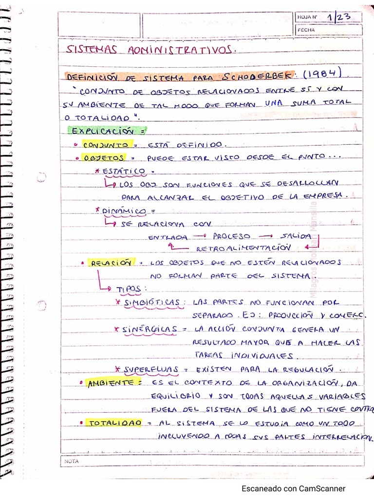 Resumen Milagros Molinari Mansilla SADM | PDF