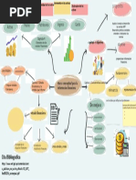Marco Conceptual para La Informacion Financiera