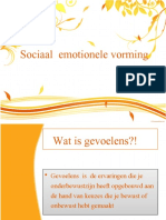 Social Emotional Vorming 