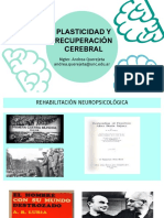 Plasticidad Cerebral