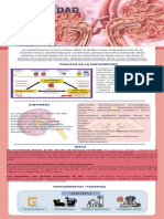 Enfermedad Renal Crónica