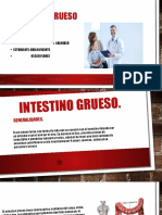 Intestino Grueso 2