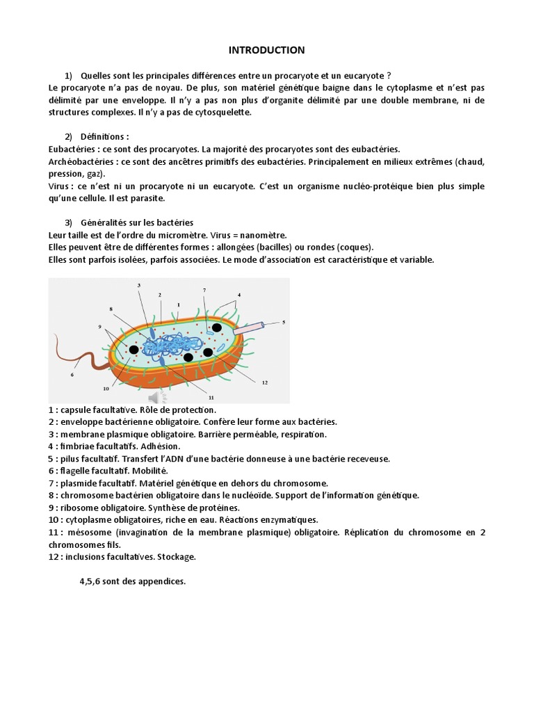 Pourquoi Le Complexe Est Existé Dans Le Schéma De Bioluminescence Cours Entier | PDF | Bactérie | Prokaryota
