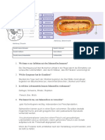 Bio 10.11