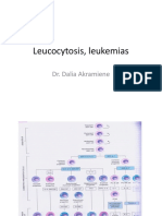 Lecture 5.16 - Leucaemia