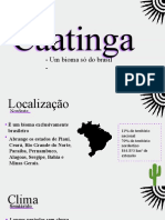 Caatinga