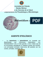 Clase Sobre Chromista Balantidium Coli