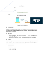 Práctica 4. Presión Hidrostática