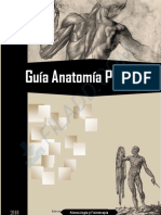 Guía Anatomía Palpatoria