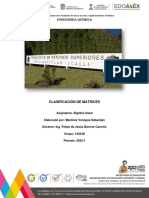 Clasificación de Matrices - Álgebra Lineal - MVS