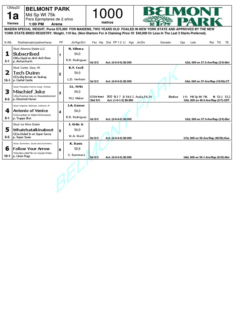 1 Belmont Park RETROSPECTO PDF Racehorses Thoroughbred Families