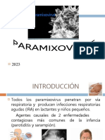 Paramixovirus 2023