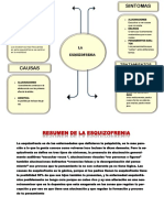 Resumen de La Esquizofrenia y Organisacion Visual