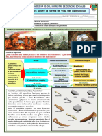 Sesion 5 - Forma de Vida Del Paleolitico