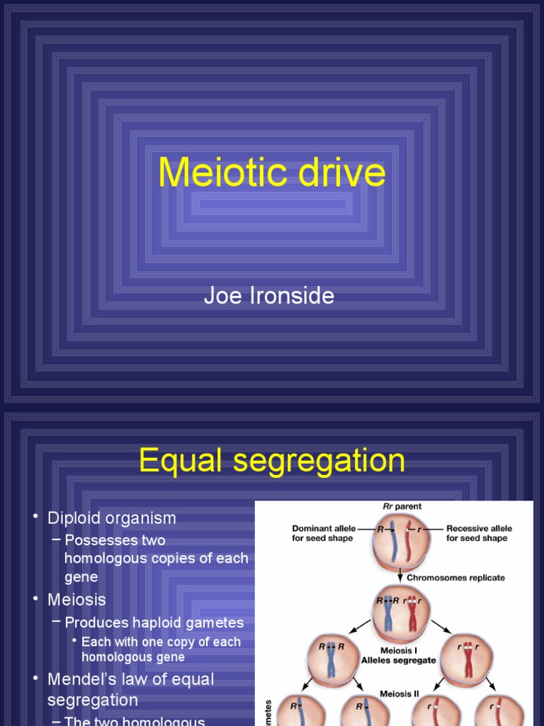 Meiotic Drive | PDF | Meiosis | Sperm