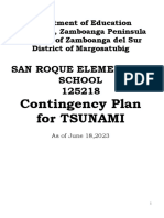 Tsunami Con - Plan