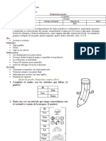 3° Evaluación Inicial