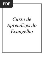 Curso de Aprendizes Do Evangelho