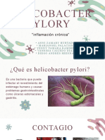 Helicobacter Pylory: "Inflamación Crónica"