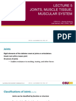 5 - Joints, Muscle Tissue, Muscle System