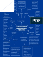 Mapa Mental Ley 28015