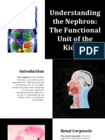 Wepik Understanding The Nephron The Functional Unit of The Kidney 20230522181830dfAD
